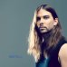 Seven Lions