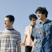 Wallows