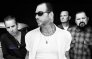 Social Distortion