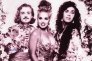 army of lovers